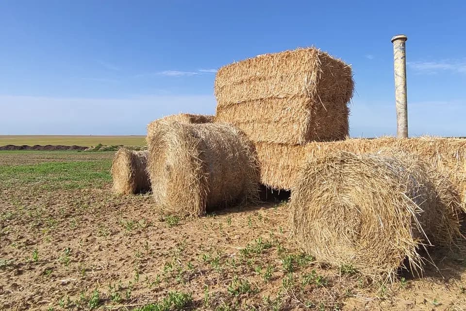Maison des Mélodies — photo 8