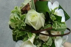 Loire Fleurs — photo 4