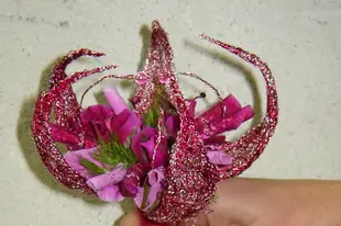 Loire Fleurs — photo 8