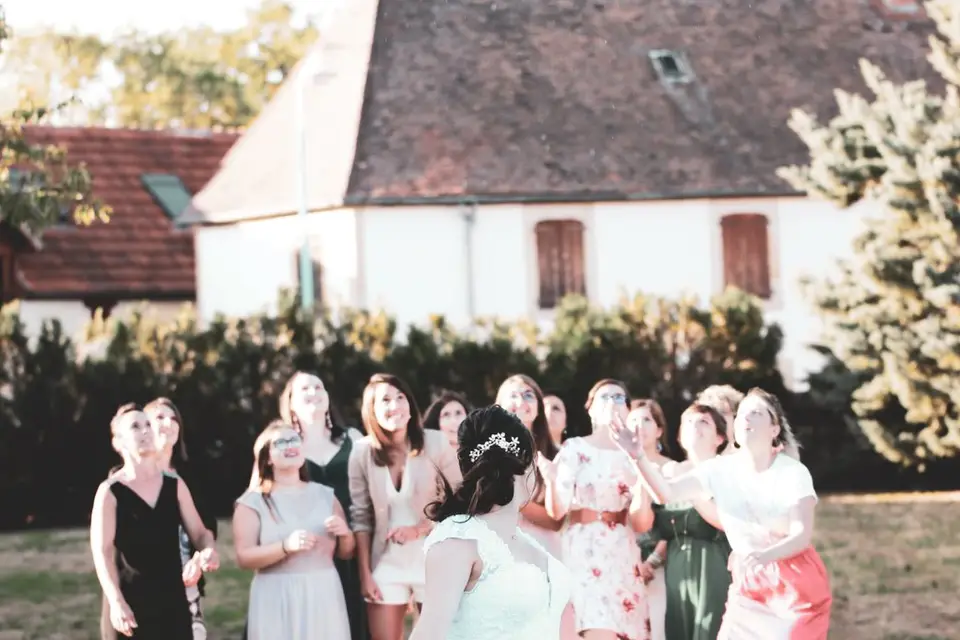 Borealis Communication — photo 7