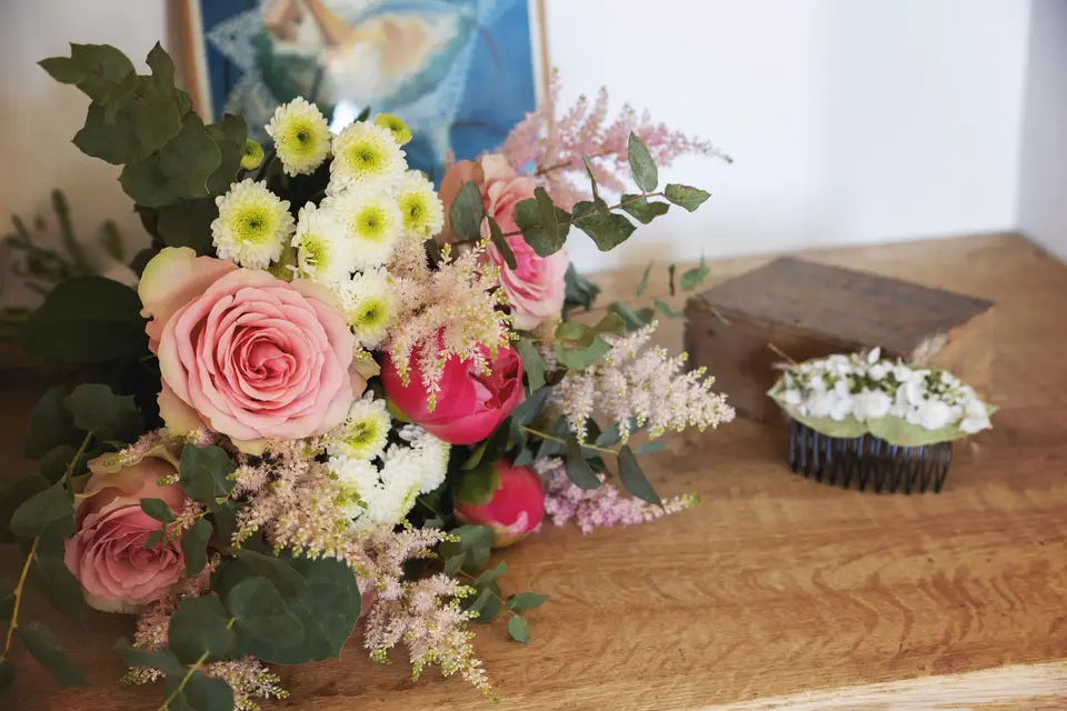 Botanicâme — photo 6