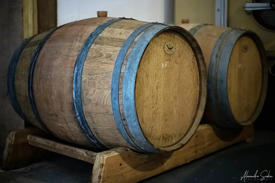 Champagne André Cez Rondeau et Fils — photo 6