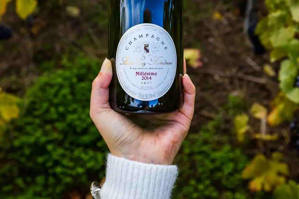 Champagne André Cez Rondeau et Fils — photo 3