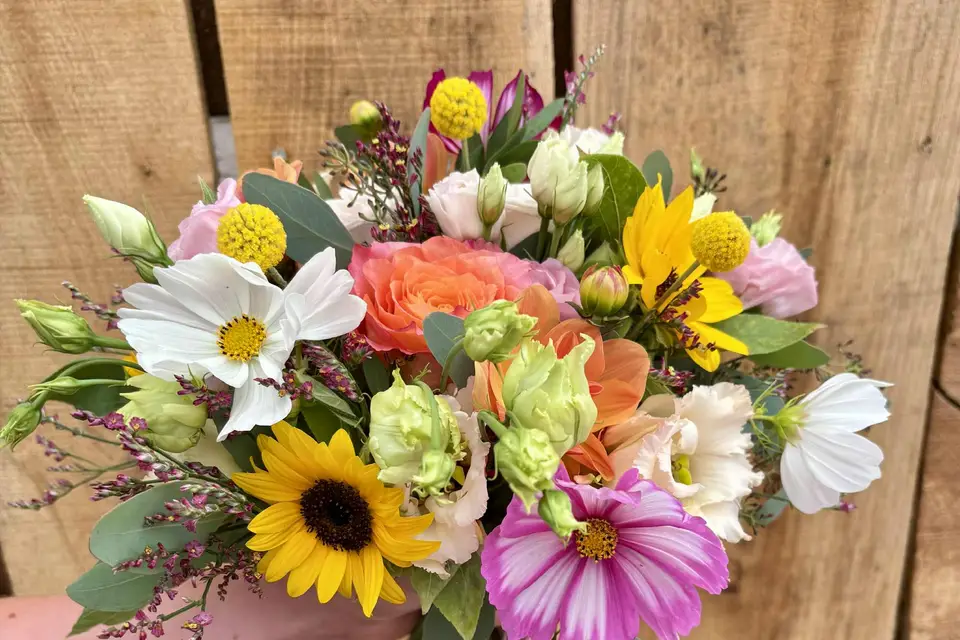 Brin d'Herbe — photo 4