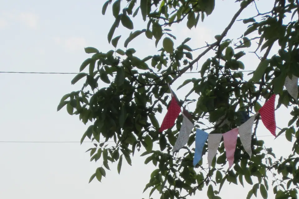 Imagine My Wedding — photo 7