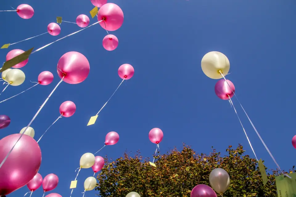 Imagine My Wedding — photo 3