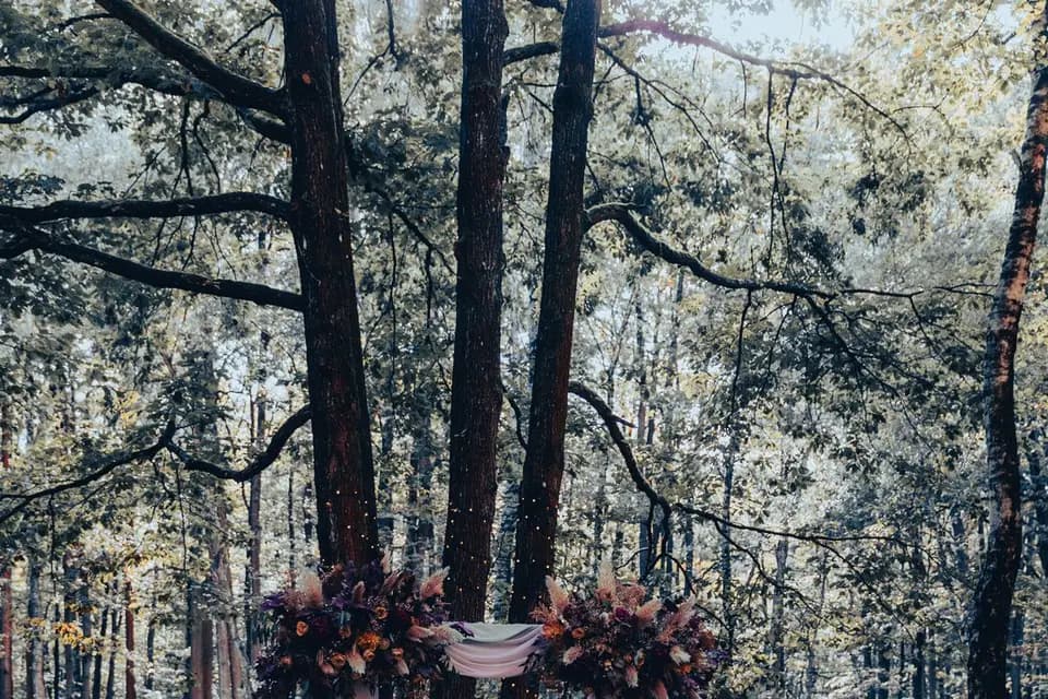 Vidalena Events — photo 5