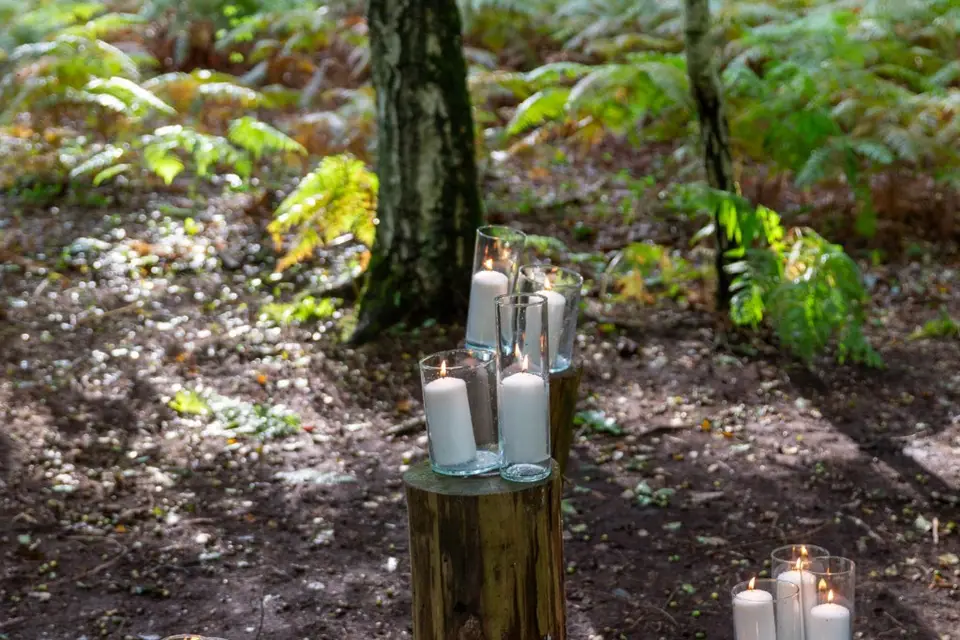 Vidalena Events — photo 8