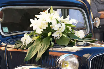 Riva Event — photo 5