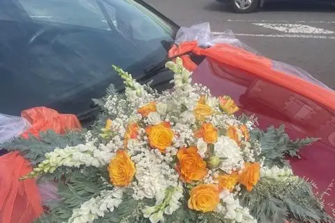 Rose de France — photo 7