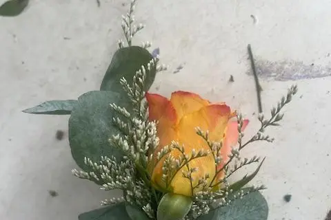 Rose de France — photo 6