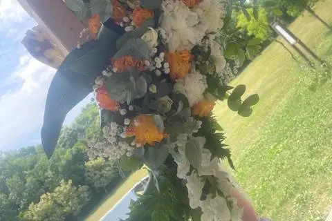 Rose de France — photo 5