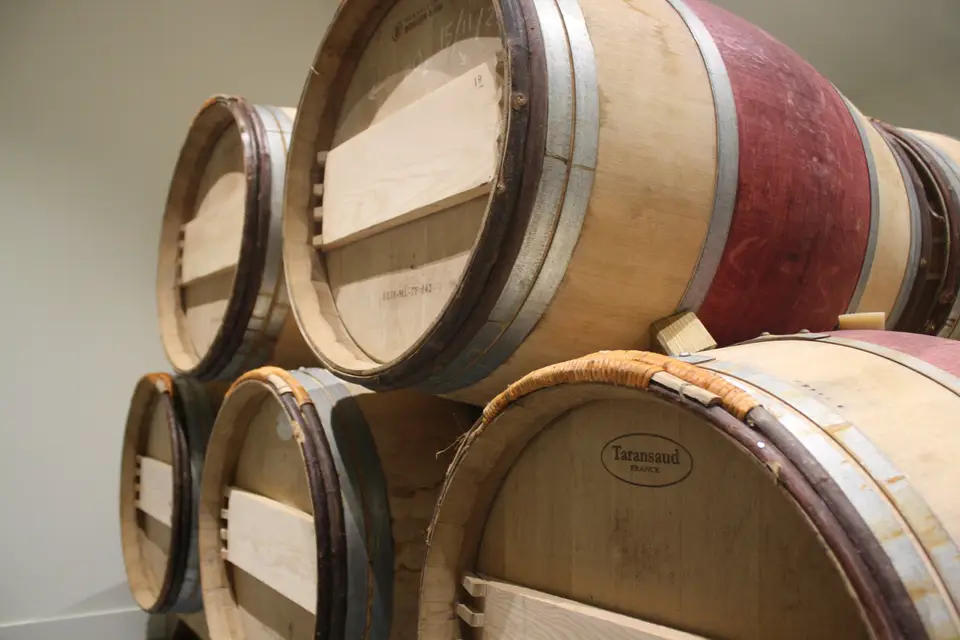 Chai Berteaud Manceau — photo 6