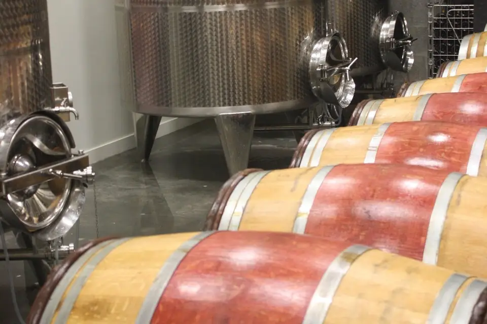 Chai Berteaud Manceau — photo 7