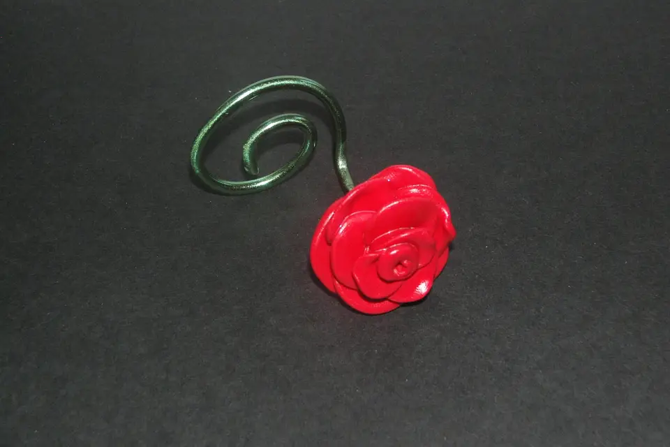 De l'Aube à l'Iris — photo 8