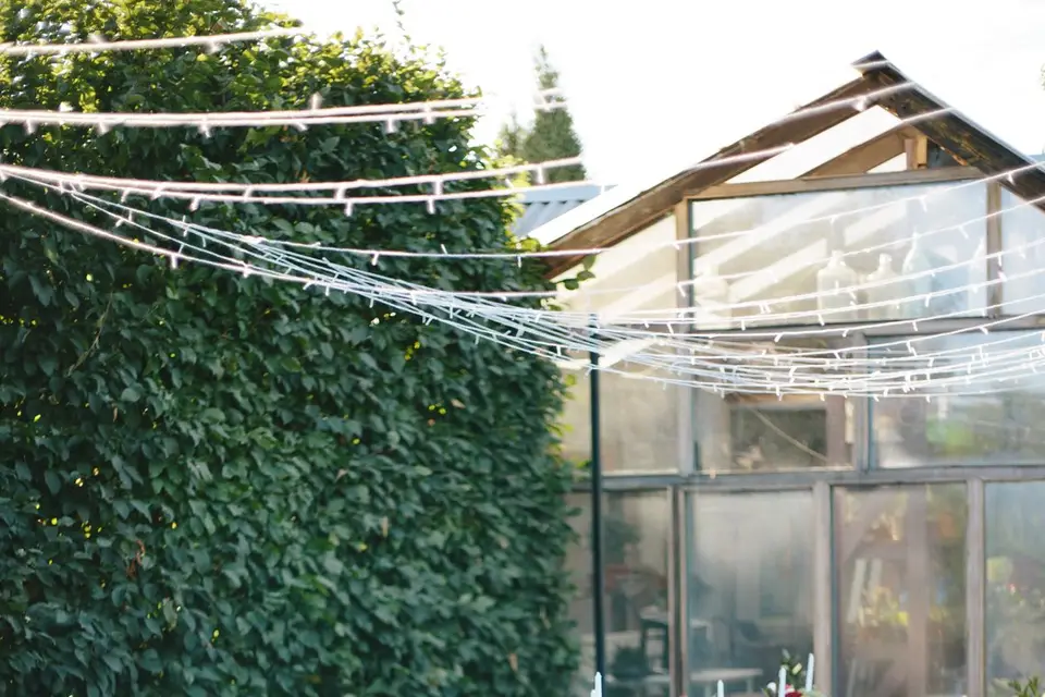 VorroNovaService — photo 1