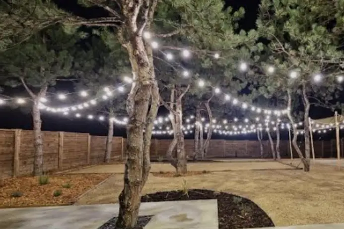 Loc and Co Reception — photo 8