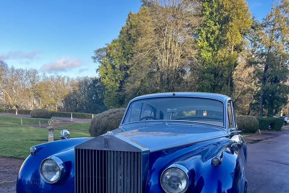 Alfred and Cars — photo 4