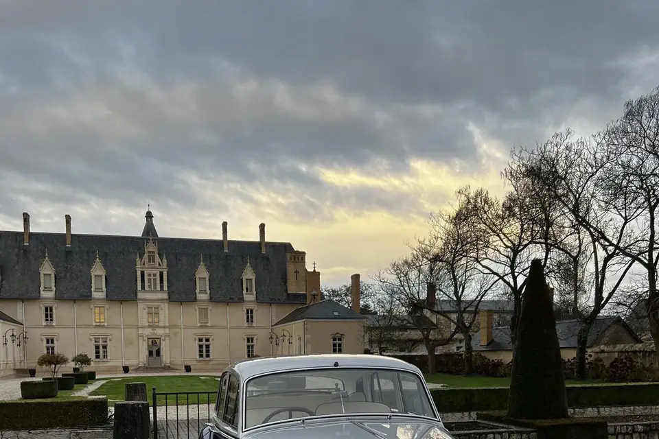 Alfred and Cars — photo 8