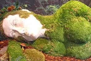 Garden Party — photo 2