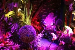 Garden Party — photo 4