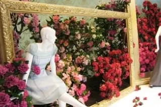 Garden Party — photo 7