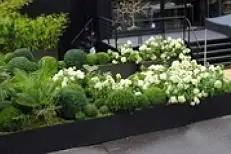 Garden Party — photo 8