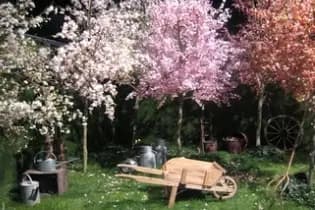 Garden Party — photo 5