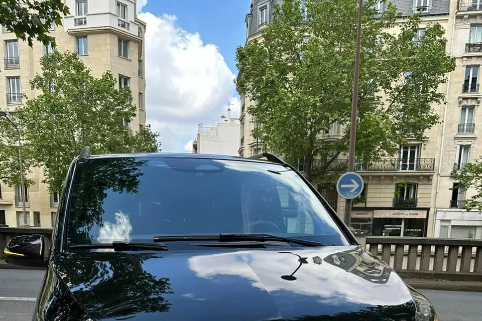 Silvercarparis — photo 1