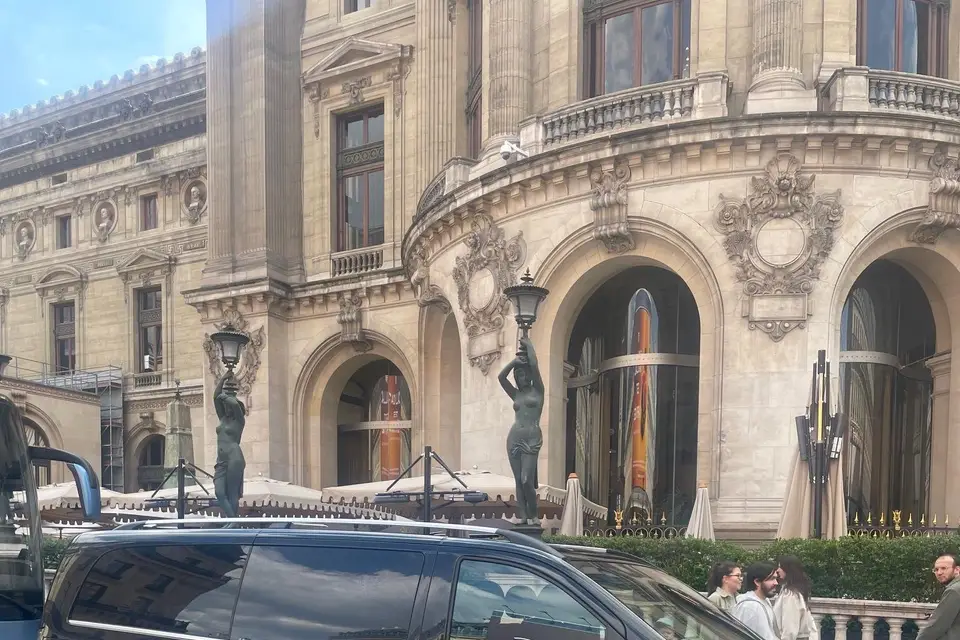 Silvercarparis — photo 3