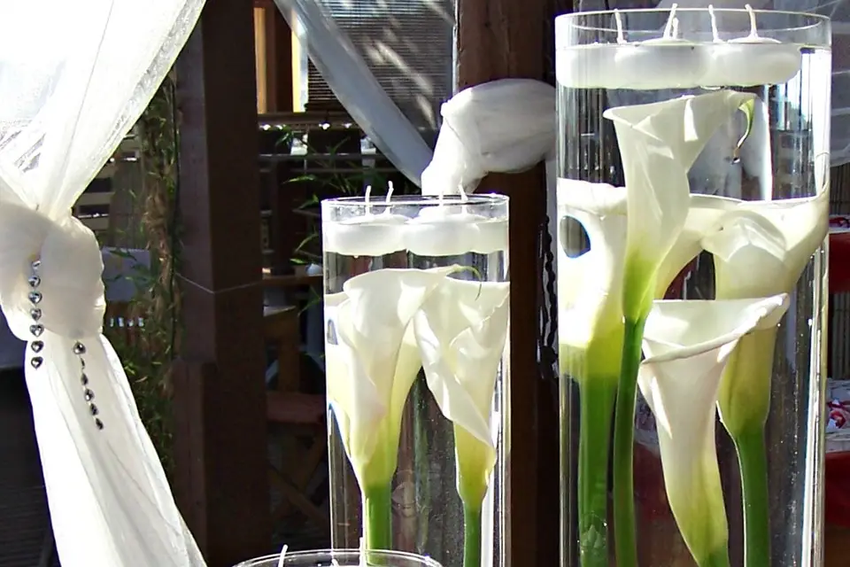 Jardinerie GrandCap — photo 8