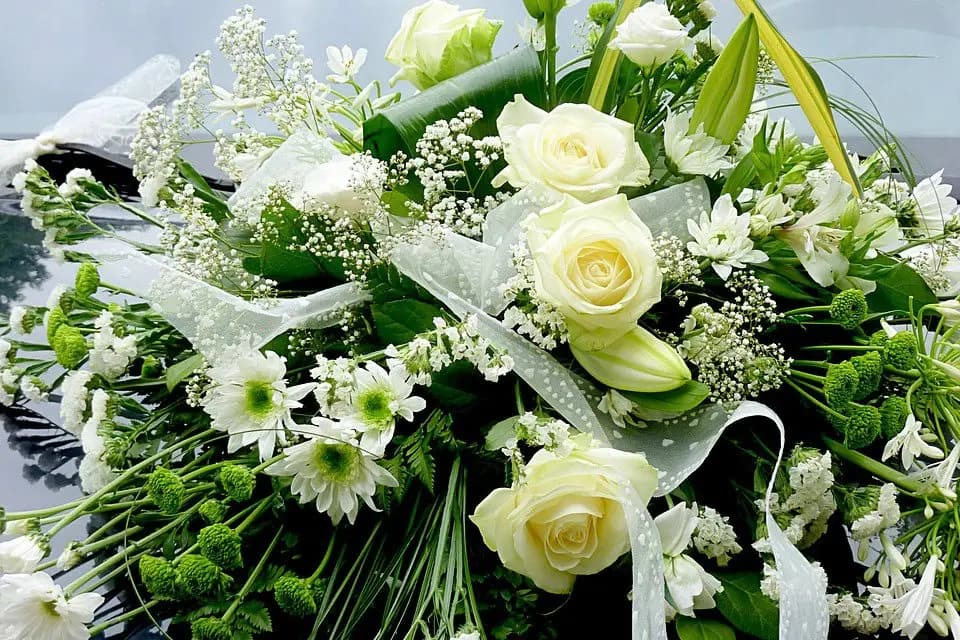 Jardinerie GrandCap — photo 3