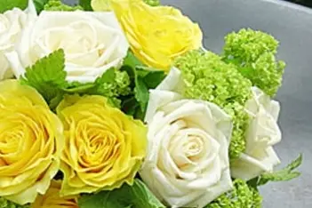 Manière & Descamps — photo 1