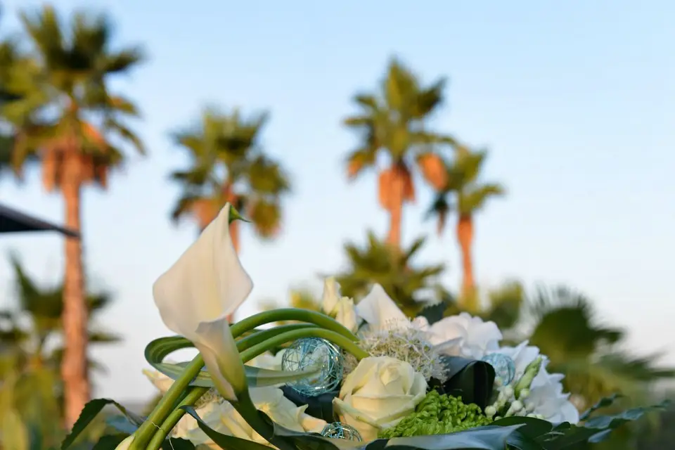 Jardinerie GrandCap — photo 1