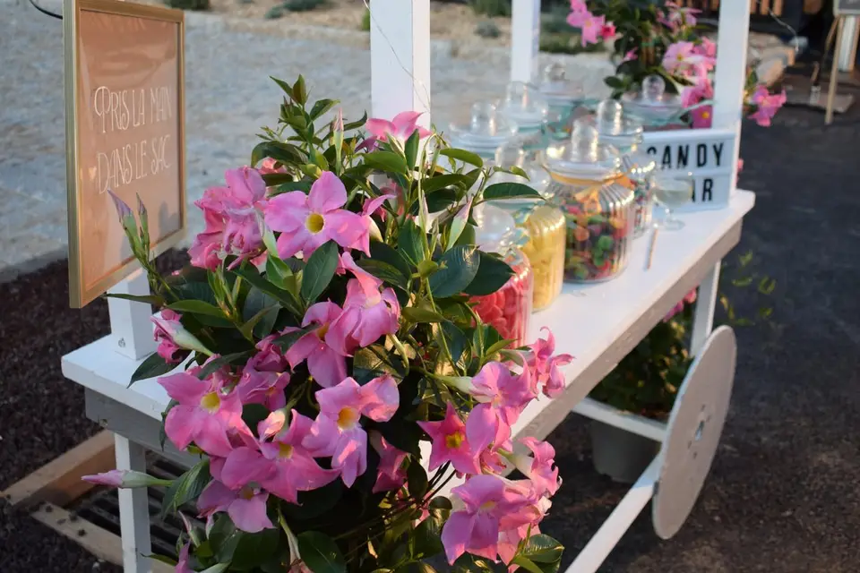 Au pays des bonbons — photo 3