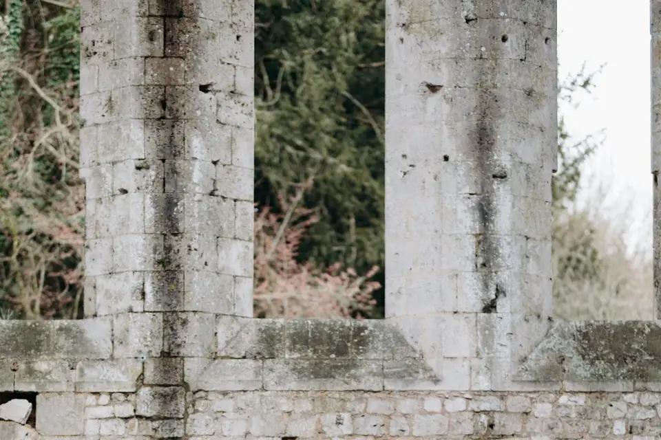 Maison Magnolia — photo 4