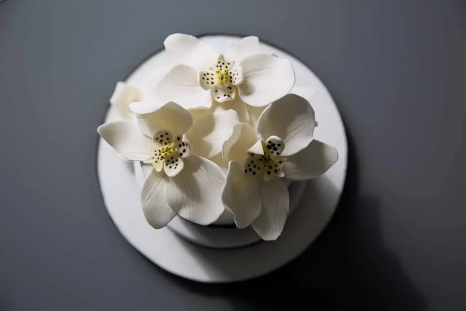 Juliette Cake Design — photo 5