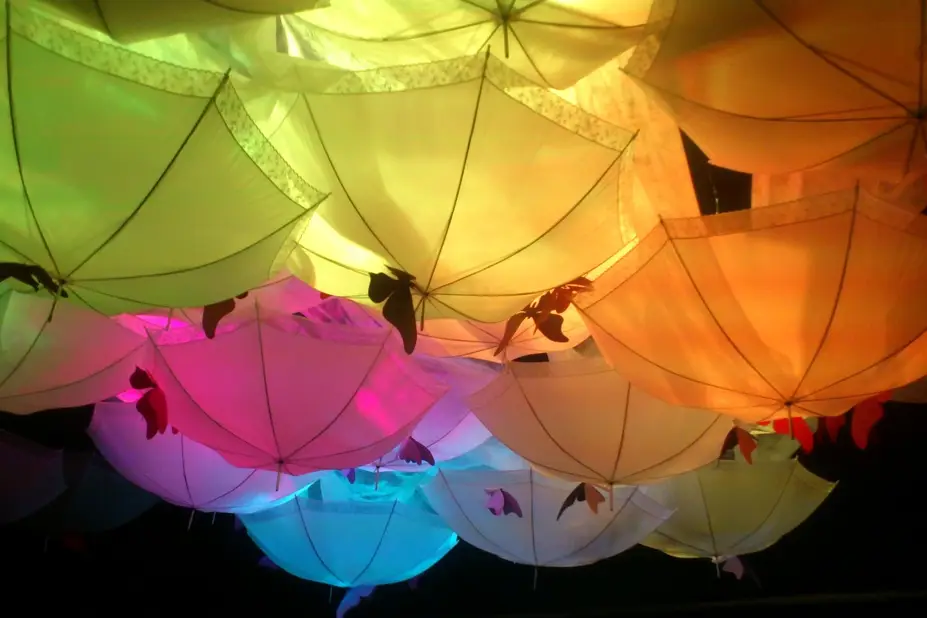 Light & Sound — photo 7