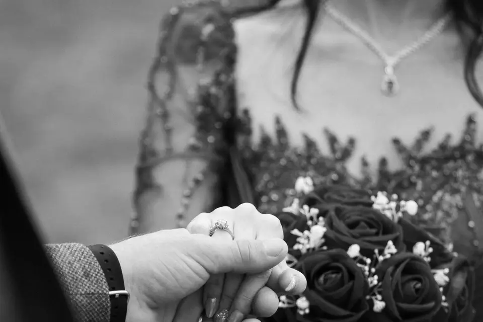 ZLN Production — photo 4