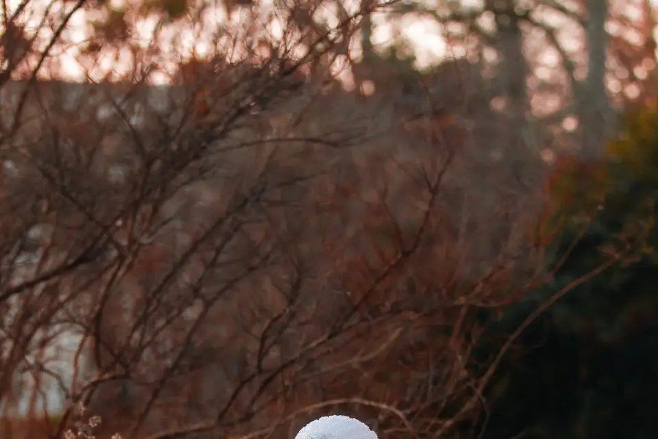 ZLN Production — photo 8