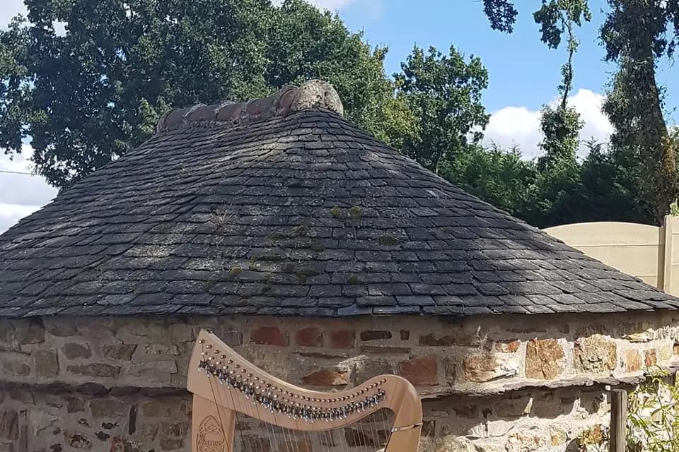 Telennaria Harpiste — photo 7