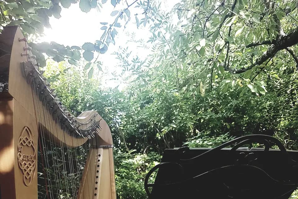 Telennaria Harpiste — photo 1