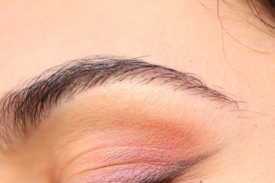 Anita Batista — photo 2