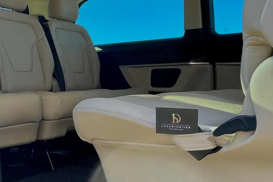 DS Luxury Driver — photo 3