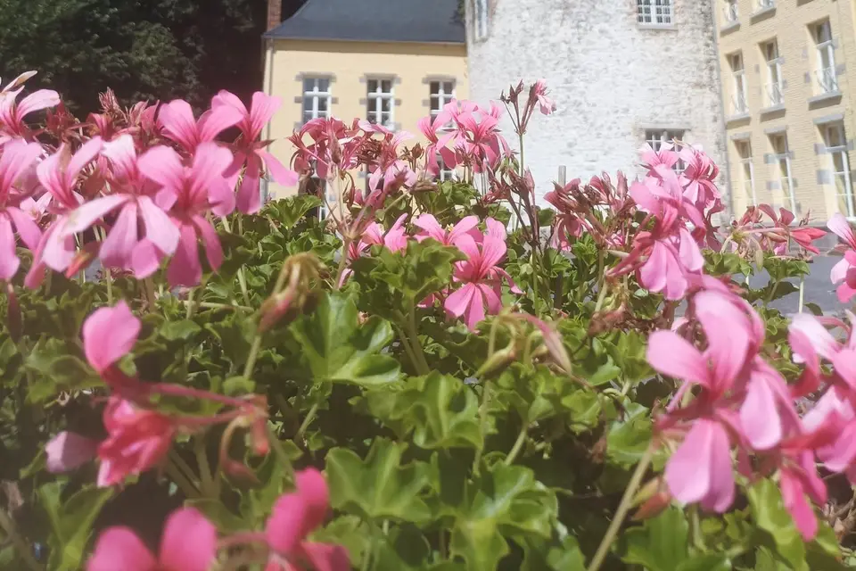 Château de Bellignies — photo 1