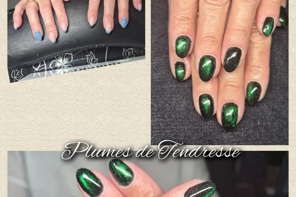 Plumes de Tendresse — photo 5