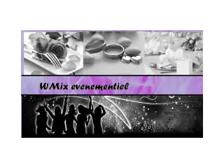 Wmixevent — photo 5