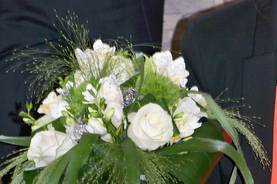 Créallyne — photo 1