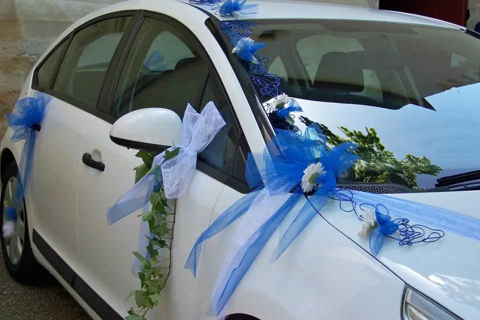 Créallyne — photo 2