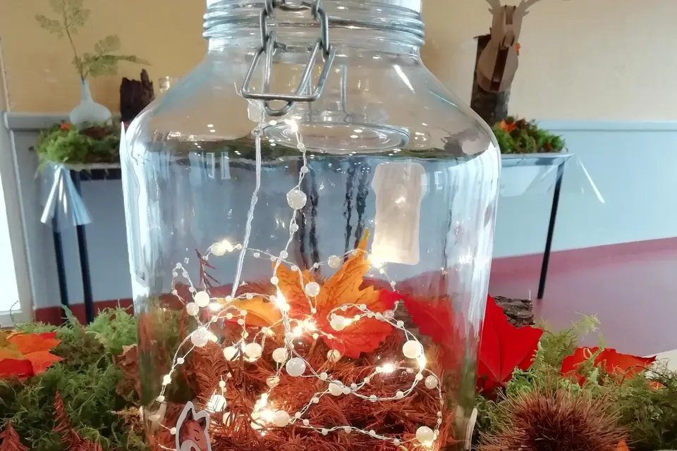 Créallyne — photo 6